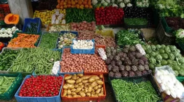 انخفاض أسعار 7 أصناف من الخضار مقابل ارتفاع الفاصوليا والبصل في الأسواق